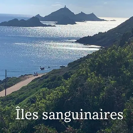 Magnifique Vue Mer, Spacieux Et Traversant Apartamento *