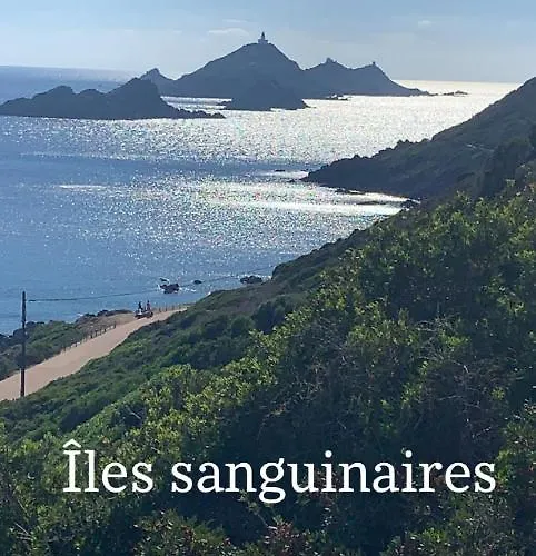 Magnifique Vue Mer, Spacieux Et Traversant Apartment *